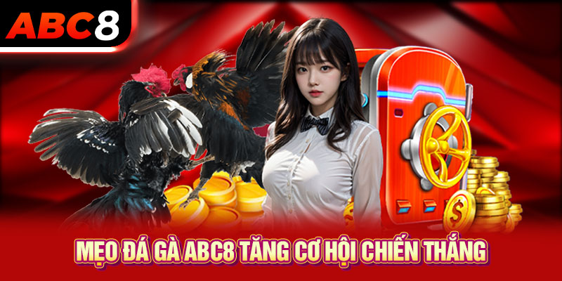 Mẹo đá gà ABC8 tăng cơ hội chiến thắng