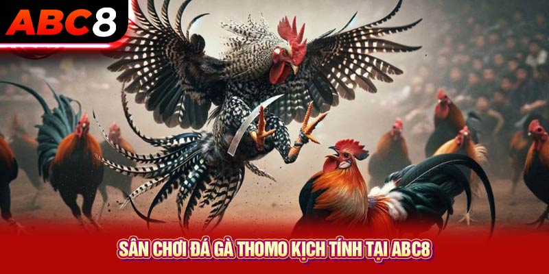 Sân chơi đá gà Thomo kịch tính tại ABC8