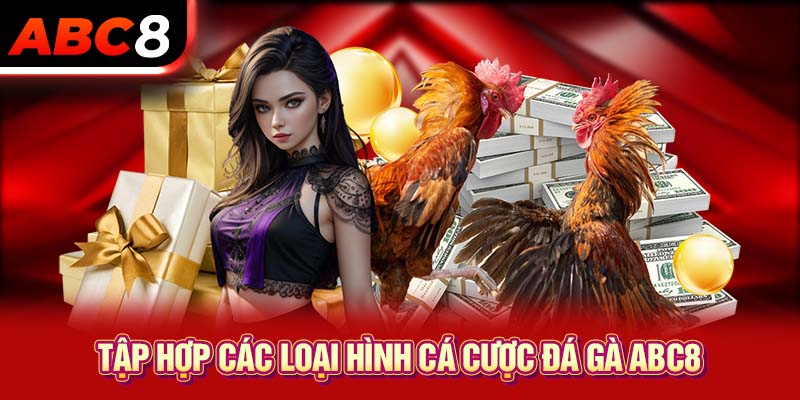 Tập hợp các loại hình cá cược đá gà ABC8 