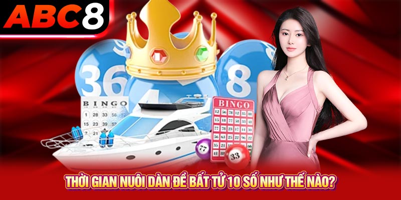 Thời gian nuôi dàn đề bất tử 10 số như thế nào?