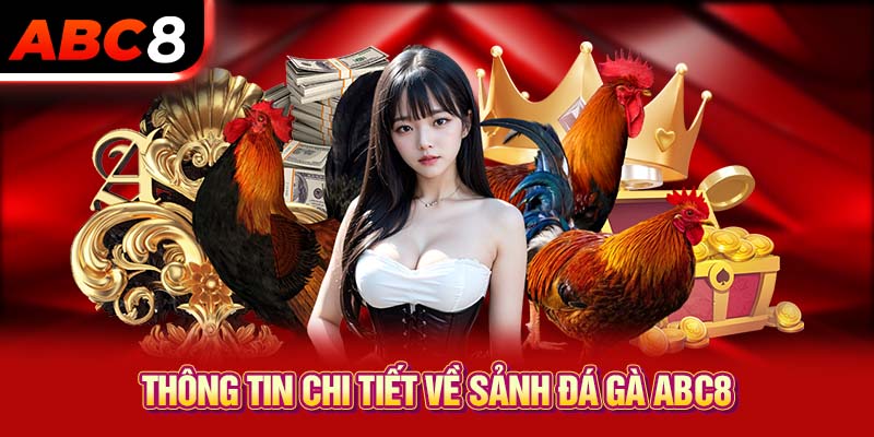 Thông tin chi tiết về sảnh đá gà ABC8