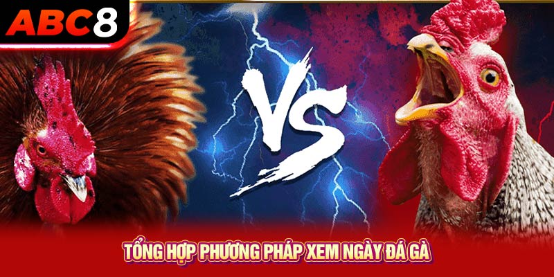 Tổng hợp phương pháp xem ngày đá gà