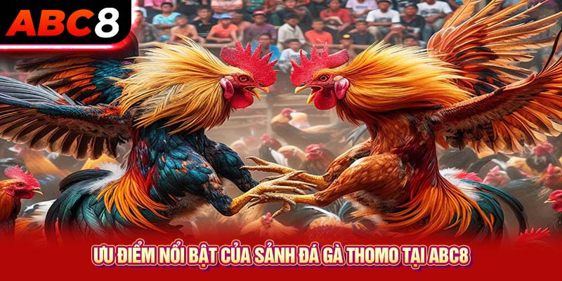 Ưu điểm nổi bật của sảnh đá gà Thomo tại ABC8