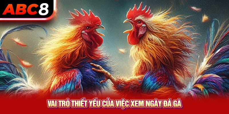 Vai trò thiết yếu của việc xem ngày đá gà